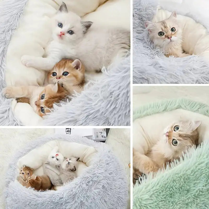 Ultra-Cozy Cat Bed & Dog Bed (Anti-Anxiety)