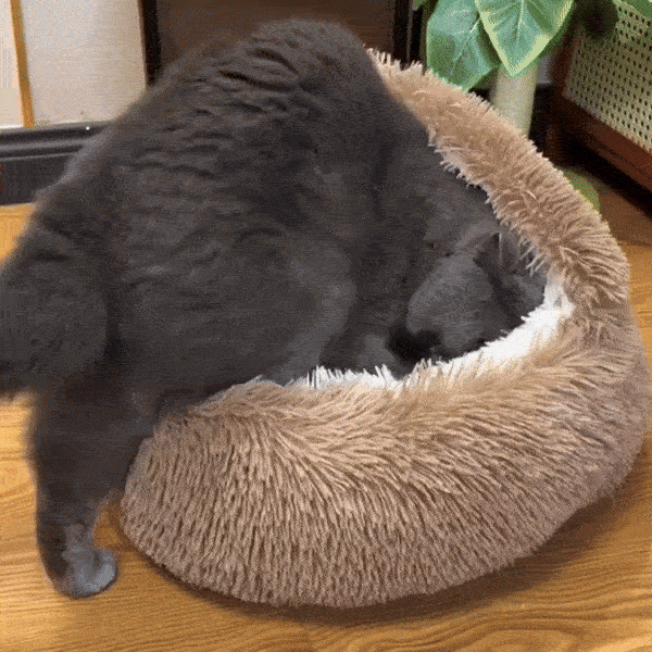 Ultra-Cozy Cat Bed & Dog Bed (Anti-Anxiety)